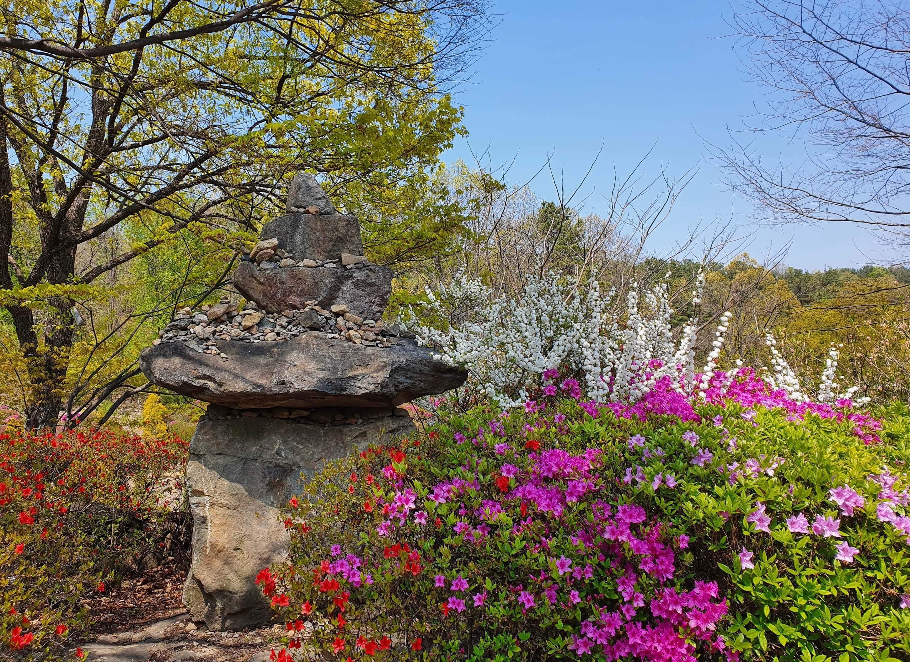 광주 율봄식물원 수국 축제
