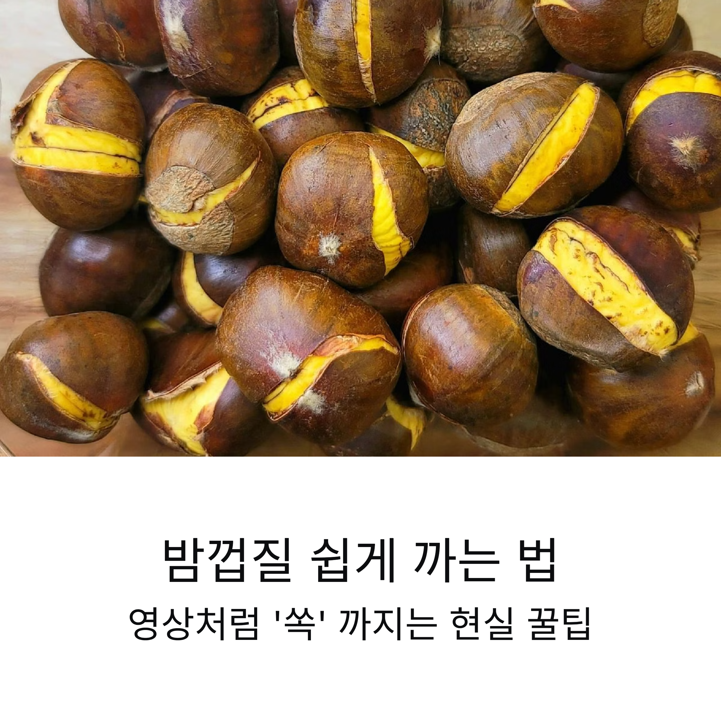 알맹이가 저절로 쏙! 밤껍질 쉽게 까는 초간단 현실 꿀팁 공개