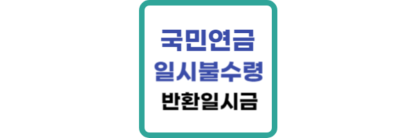 국민연금 일시금