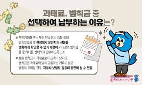 과태료와 범칙금의 차이