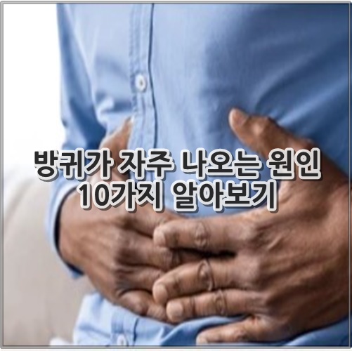 방귀가 자주 나오는 원인 10가지 알아보기