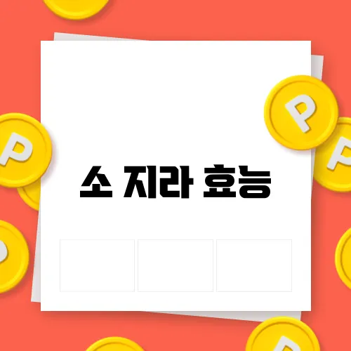 소 지라 효능