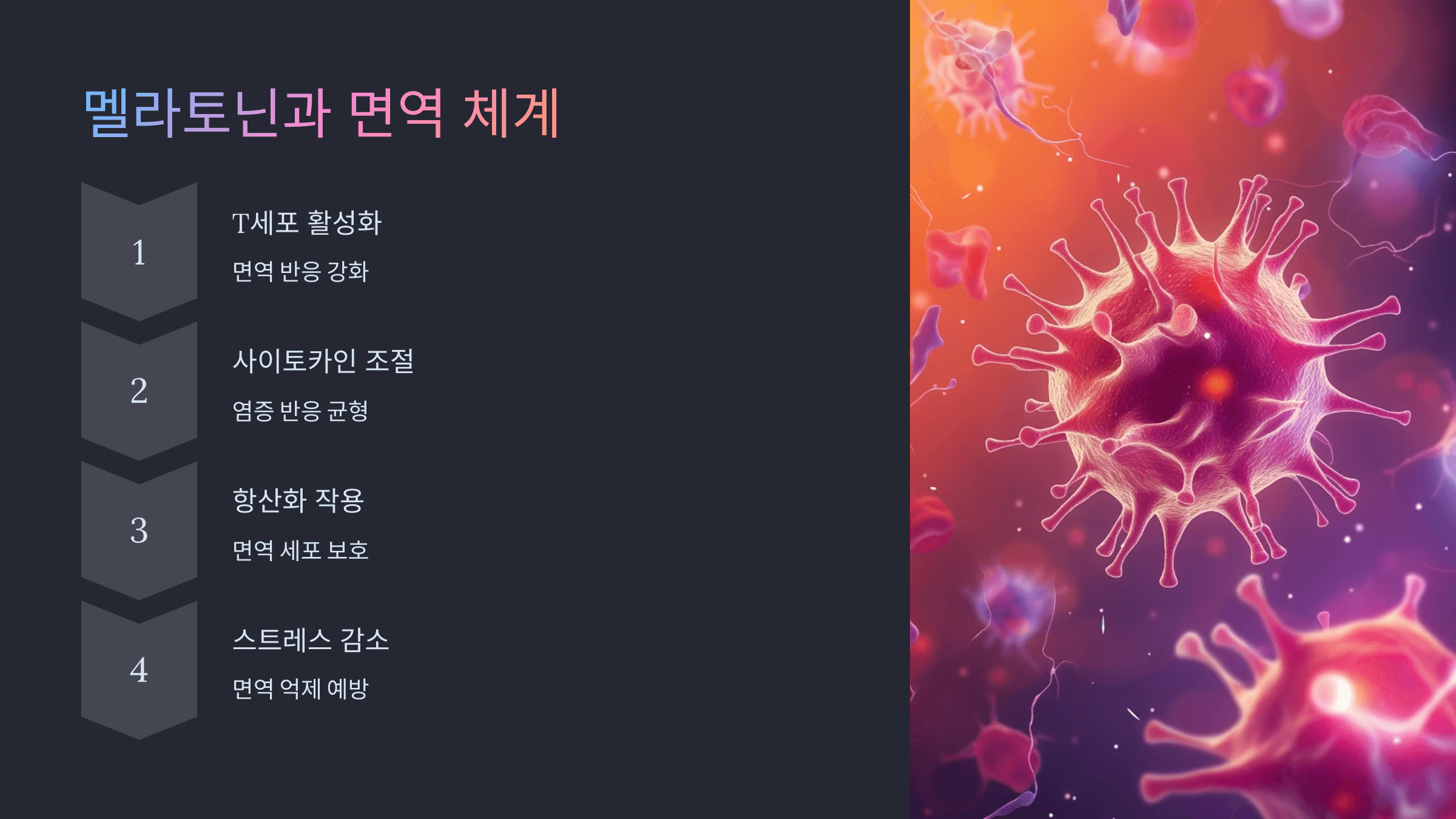 멜라토닌과 관련된 사진입니다.