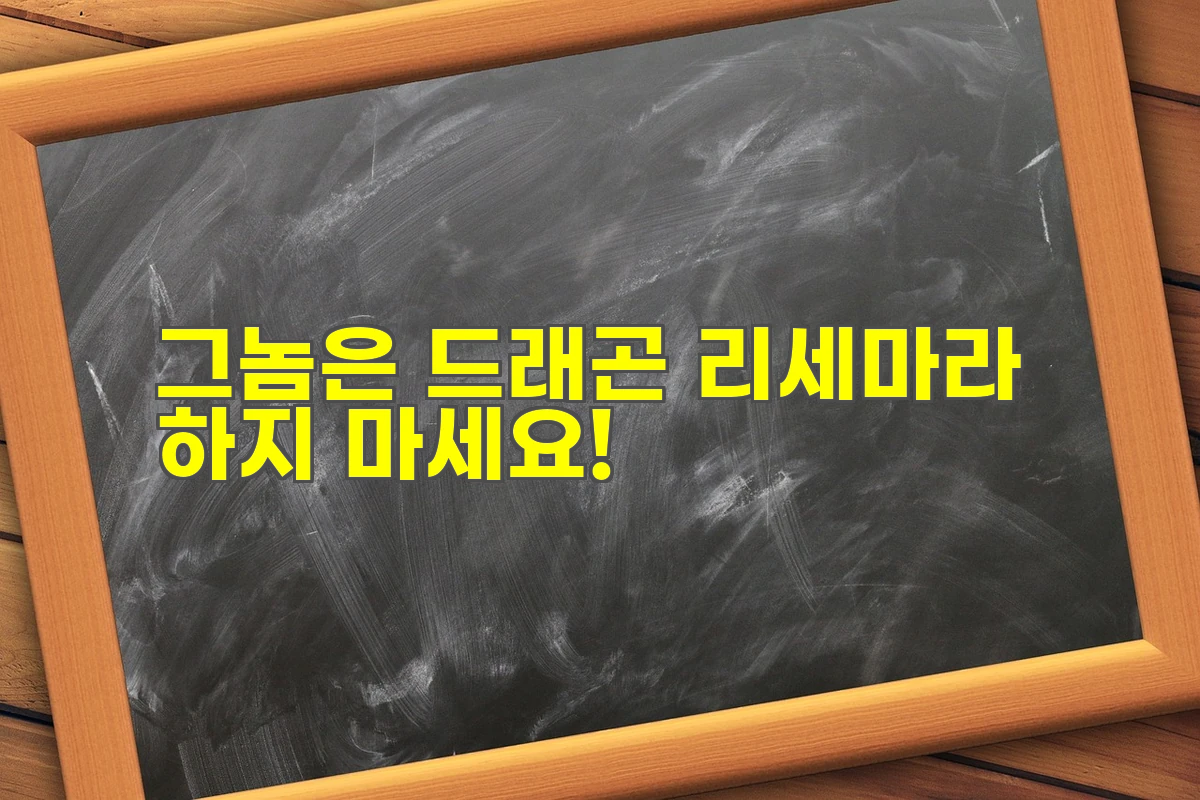 그놈은 드래곤 리세마라