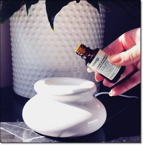 디프져에 사용되는 테르펜