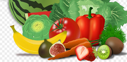 베르베린 효능 부작용 및 복용법