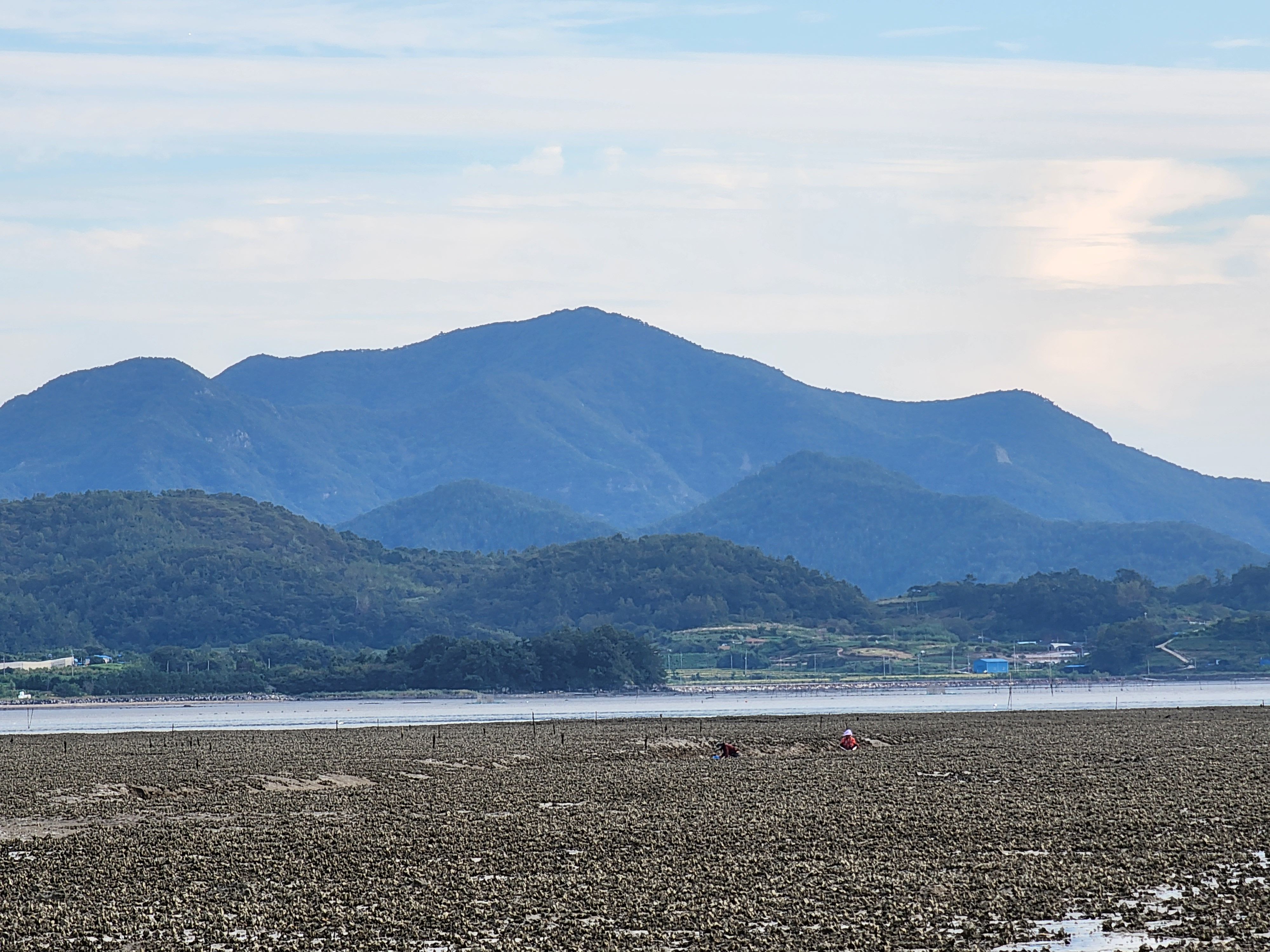 Alt 속성 문제 해결 설명 이미지
