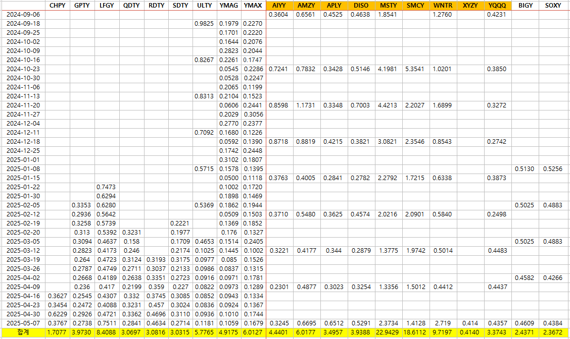 2024년 9월부터 2025년 5월까지 일드맥스 D그룹 배당현황