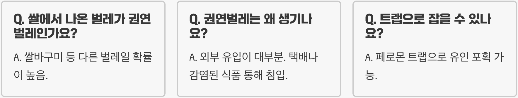 권연벌레 생태와 특징 총정리 &ndash; 집안에서 자주 발견되는 해충의 정체