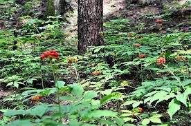2TV 생생정보 4월 23일 맛집 정보: 묵은지 고등어조림&middot;돼지갈비찜 &amp; 부산 이재모피자 연락처 총정리 관련사진