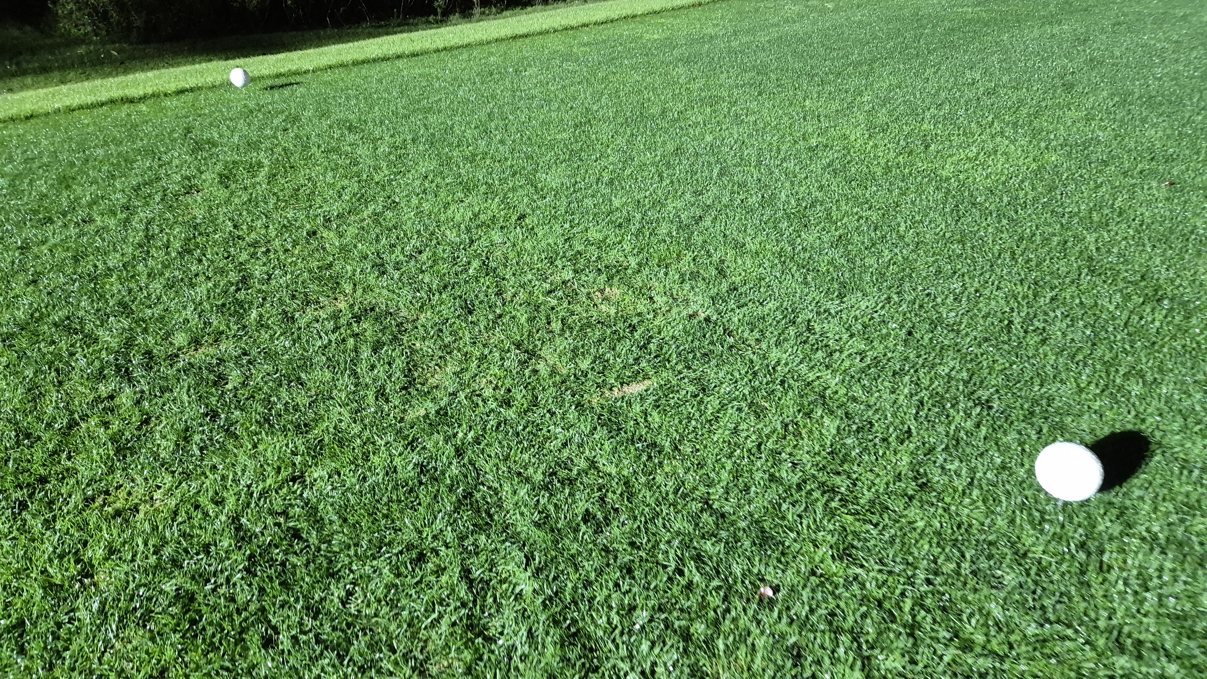 블루원용인cc 티잉구역상태