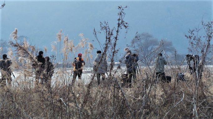 대포 망원렌즈 삼각대에 거치하고 고니떼들을 응시하고 있는 진사님들 8명,