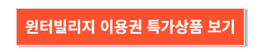 윈터빌리지 이용권 - 특가상품