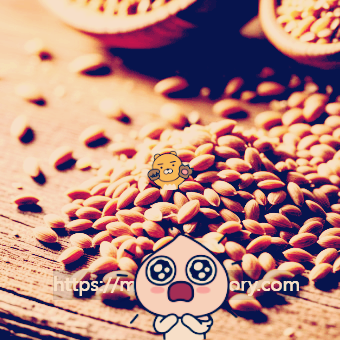 파로 곡물 효능