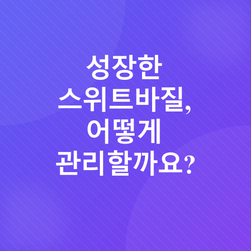 스위트바질 키우기_3