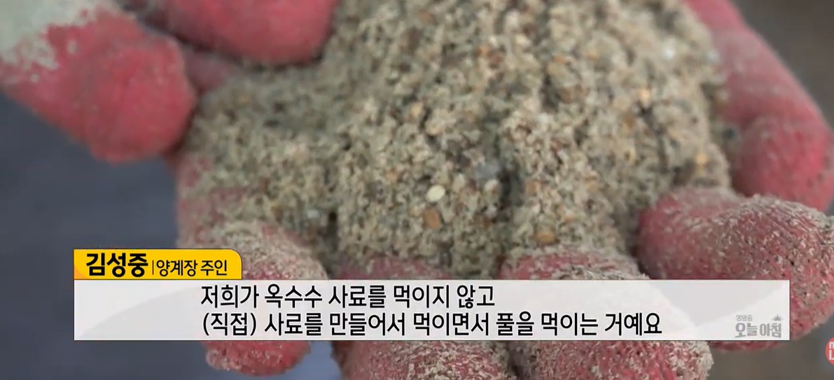 6시내고향-연천-계란-유나네자연숲농장