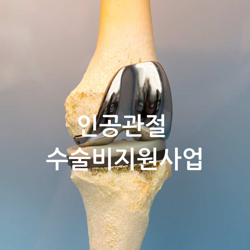 인공관절 수술비지원사업