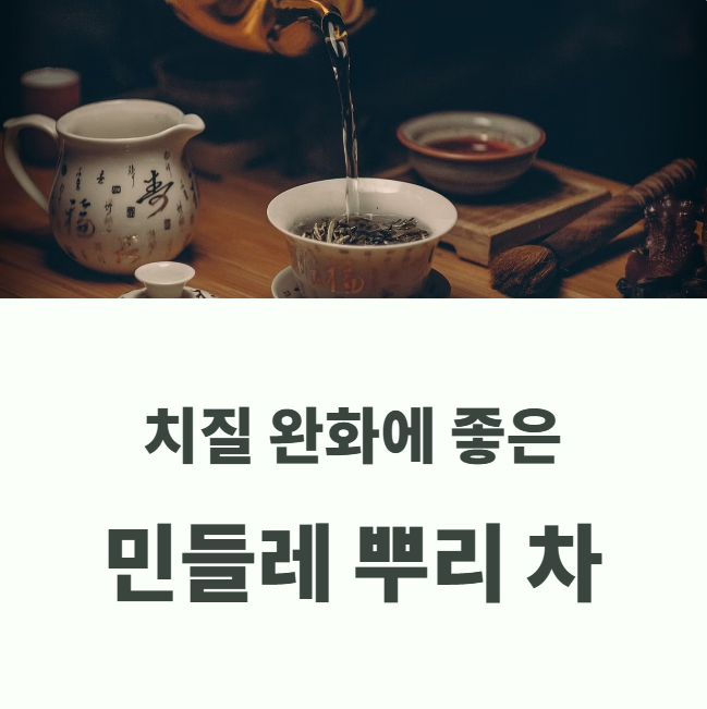 치질 완화에 좋은 민들레 뿌리 차