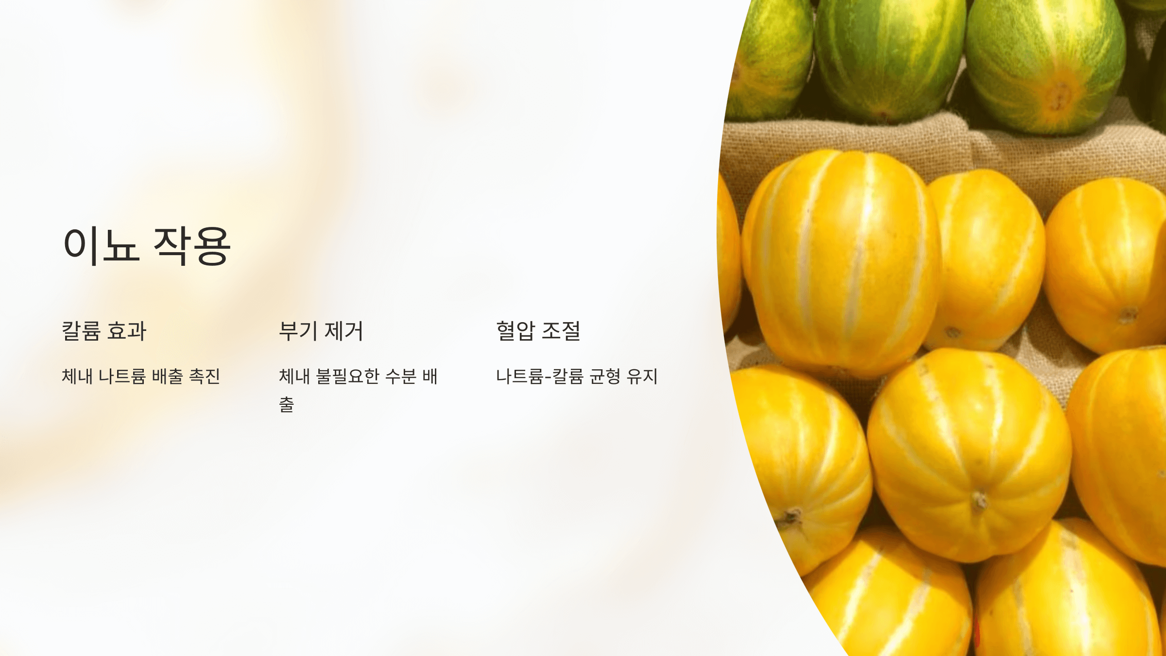 참외 사진입니다.