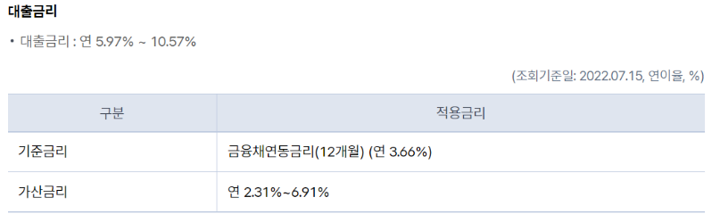 비상금대출