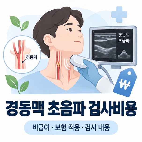 경동맥 초음파 검사비용을 상징하는 목 혈관 초음파와 가격표 인포그래픽