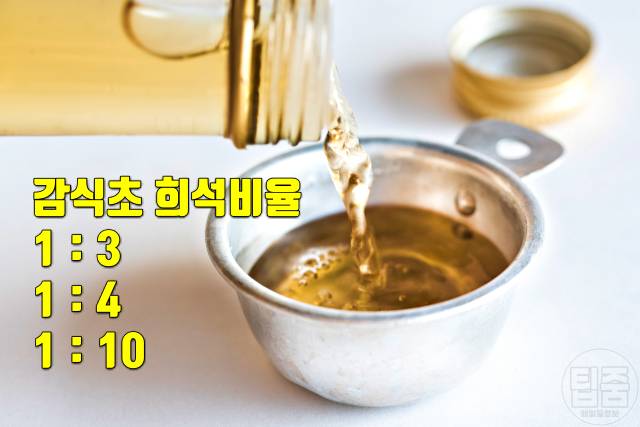 감식초 매일 먹으면 감식초효능 감식초먹는법