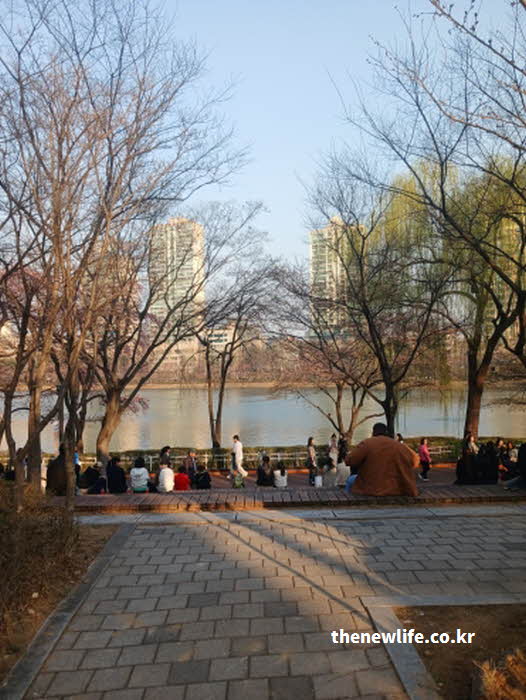 서울 석촌호수 벚꽃 축제 일정 프로그램 안내