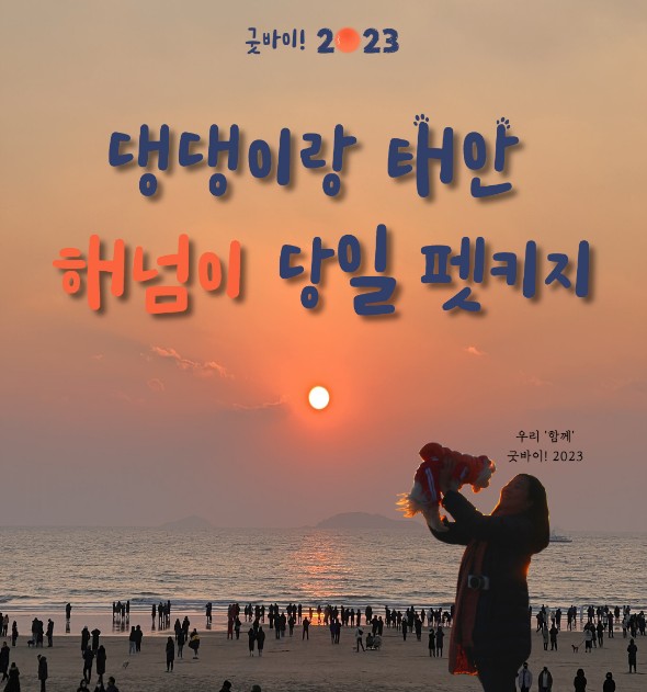 태안 해넘이 당일 펫키지