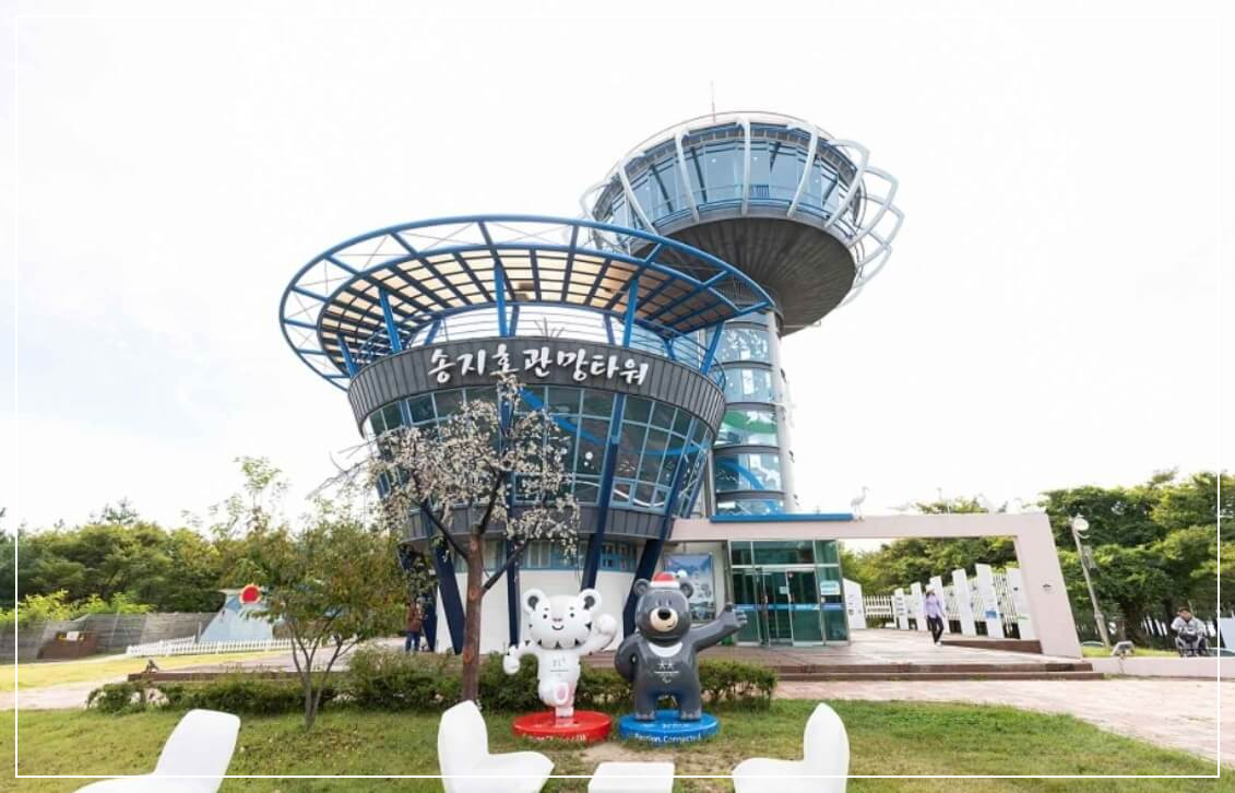 고성 가볼만한곳 베스트10 송지호 철새관망타워