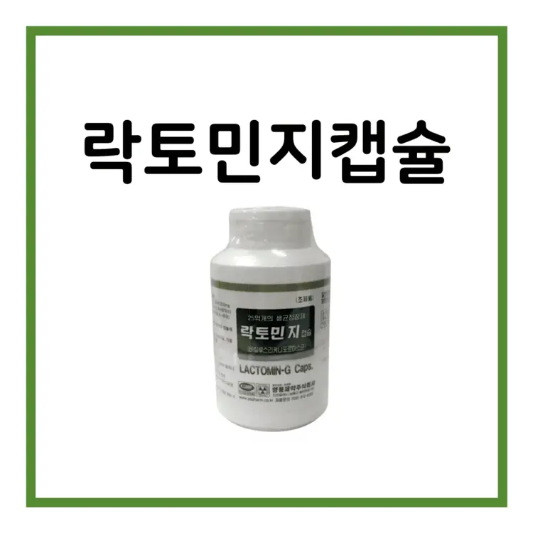 락토민지캡슐-이미지