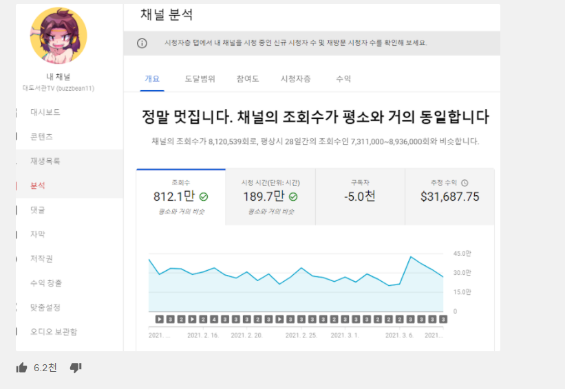 대도서관 수익
