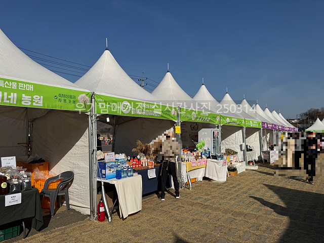 2025 광양매화축제 일정 실시간 개화 주차장