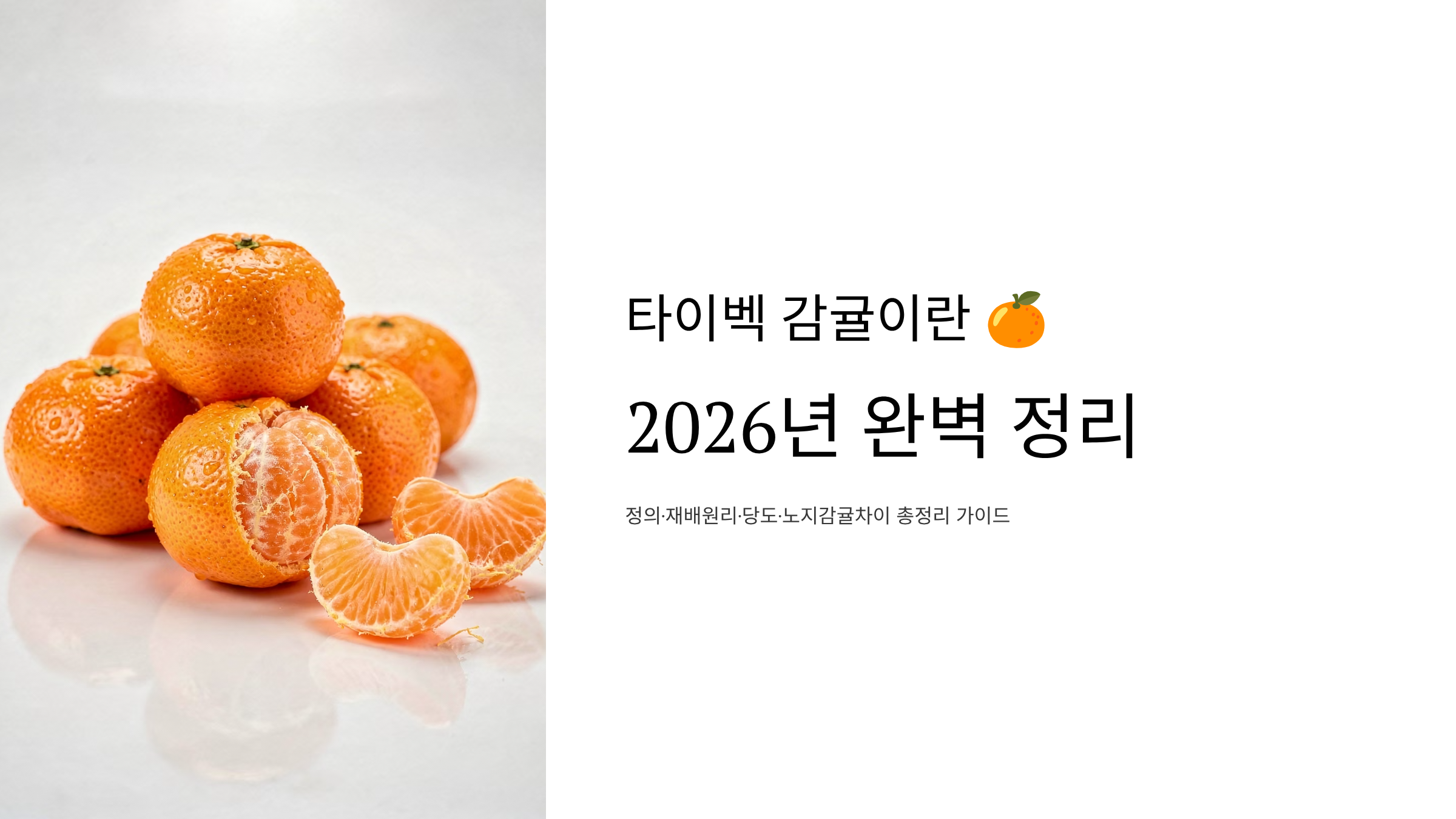 타이벡 감귤이란