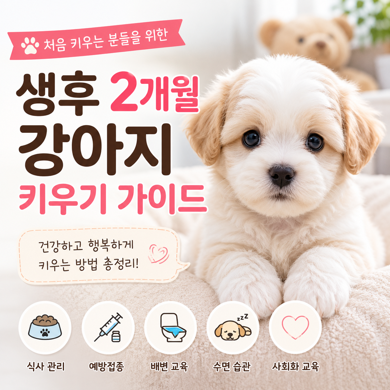 생후 2개월 강아지 키우기 가이드