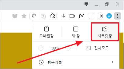 시크릿 창