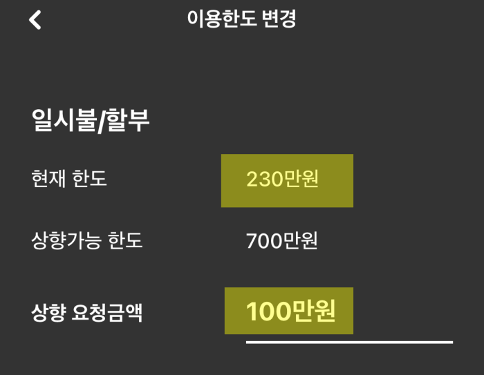 현대카드-이용한도-증액방법5