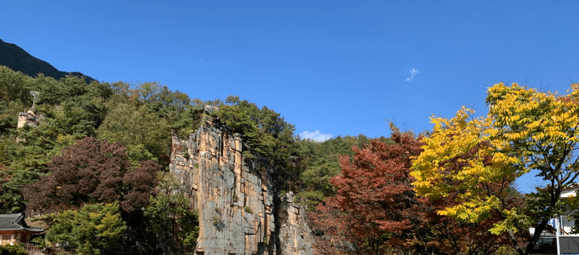 단양 가볼만한곳