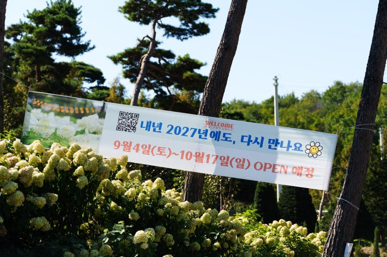 용설-수국축제-2027년-개방예정