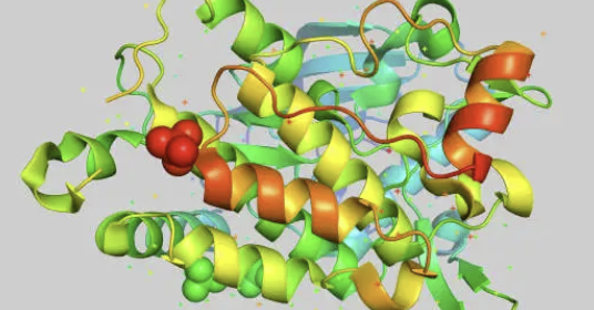LC-MS/MS 기반 약물-단백질 결합 비율(Protein Binding Ratio) 분석 전략
&ndash; 시료 준비법 비교(Eq. dialysis, ultrafiltration, ultracentrifugation)와 비특이적 결합 억제 기법, 신뢰성 있는 unbound fraction 계산 방법 &ndash;