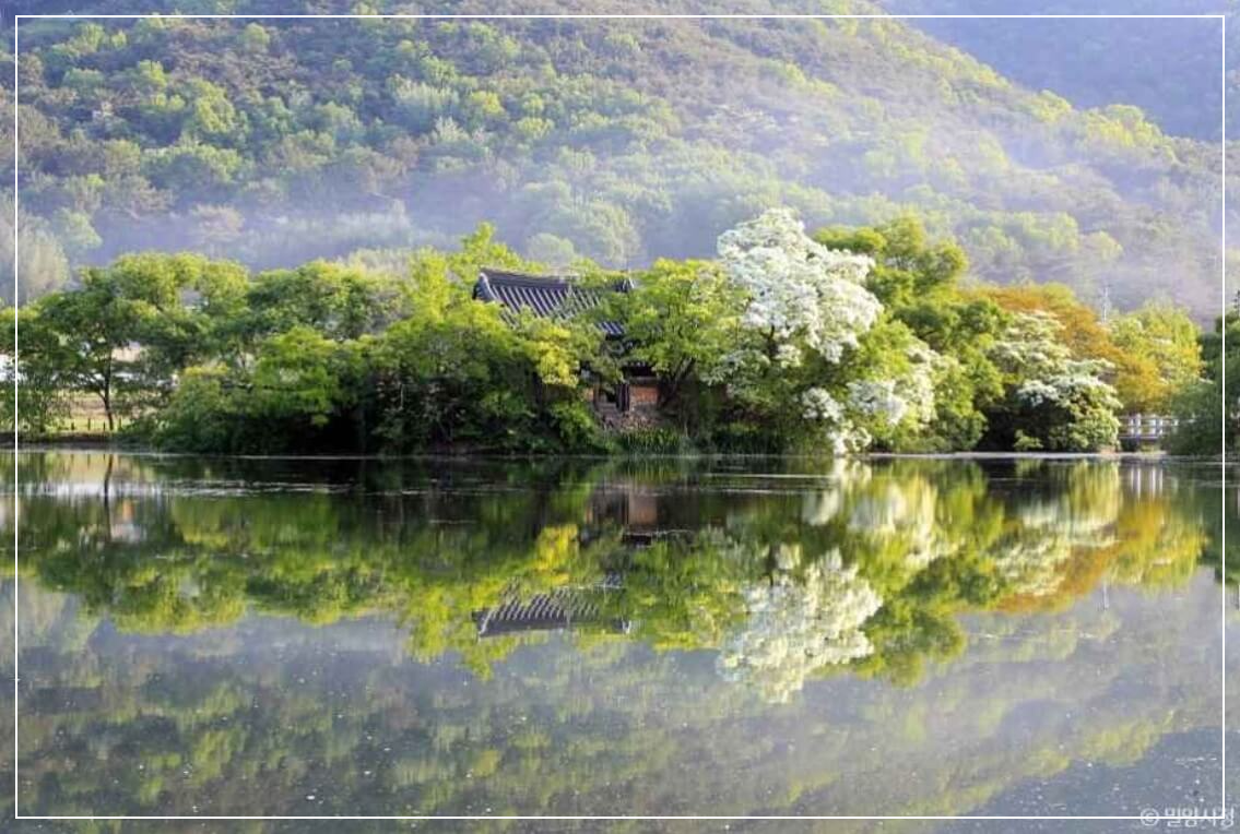 밀양 가볼만한곳 베스트10 위양지(위양못)