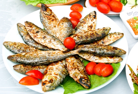 삼천포전어축제 2025 사천시 품바공연일정