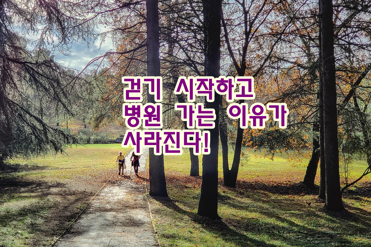 걷기 시작하고 병원 가는 이유가 사라졌습니다