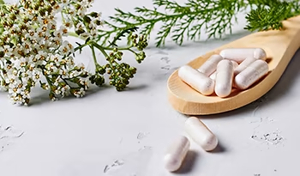 단백질 분해 효소