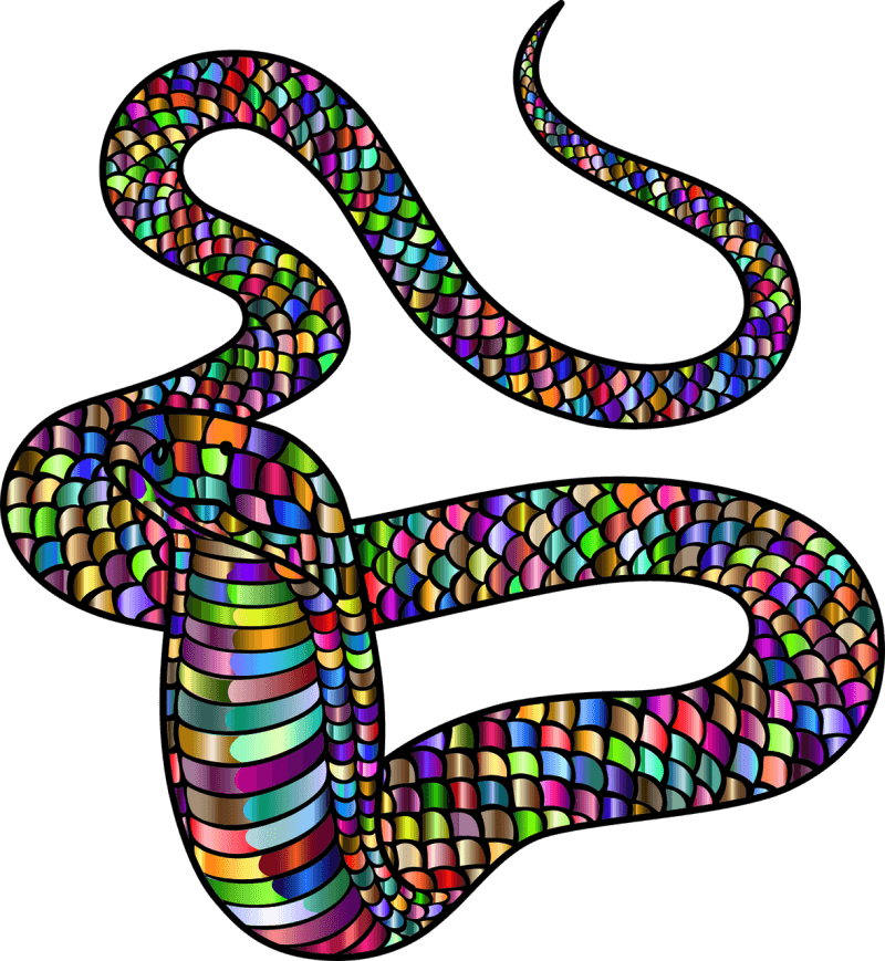 꽃뱀 그림 일러스트