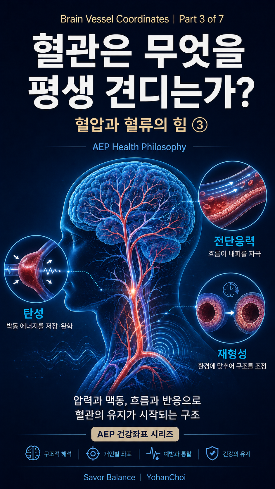 Vertical educational infographic for “Brain Vessel Coordinates, Part 3 of 7,” showing a glowing blue human head and brain with red and blue cerebral blood vessels. Three circular illustrations explain arterial elasticity, endothelial response to blood flow and shear stress, and vascular remodeling over time. Korean text introduces the topic “What Do Cerebral Blood Vessels Endure Throughout Life?” with the subtitle “The Forces of Blood Pressure and Blood Flow,” presented as part of the AEP Health Coordinates series by Savor Balance and YohanChoi.