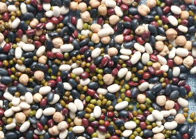 마그네슘이 풍부한 콩