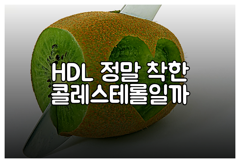 HDL 정말 착한 콜레스테롤일까