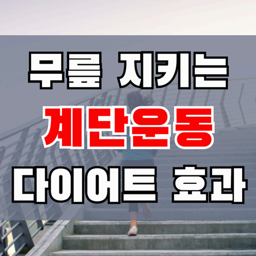 계단운동 효과 무릎 아프지 않게 운동하는 법