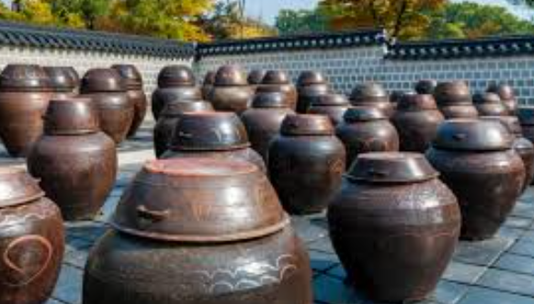 발효효소란 무엇