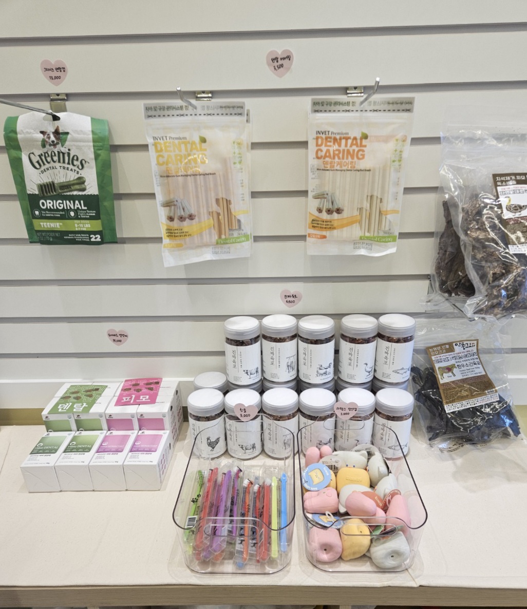 김포 사우동 애견미용 애견호텔